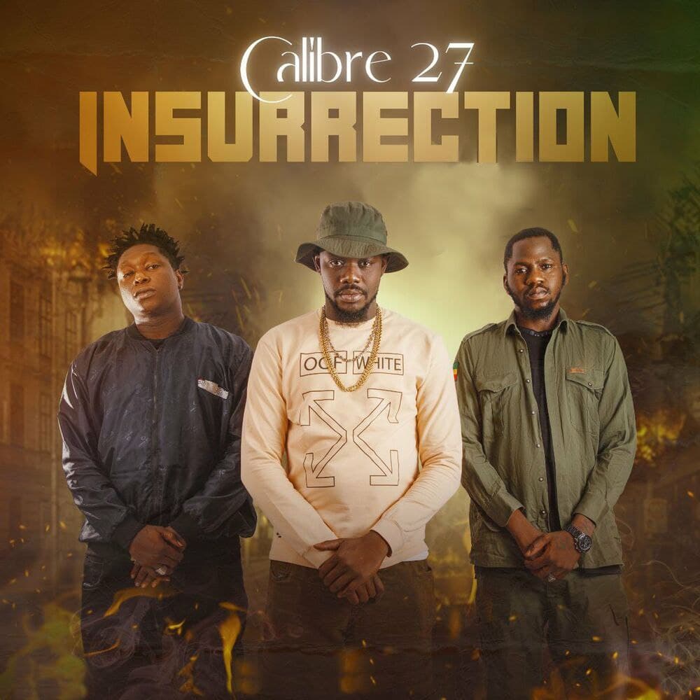 💽 Album: Insurrection
👤 Artist: Calibre 27
📅 Date: 2022-06-21
🎧 Total tracks: 9
🌐