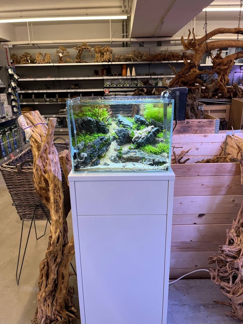 Le brow de Jésus 🤍