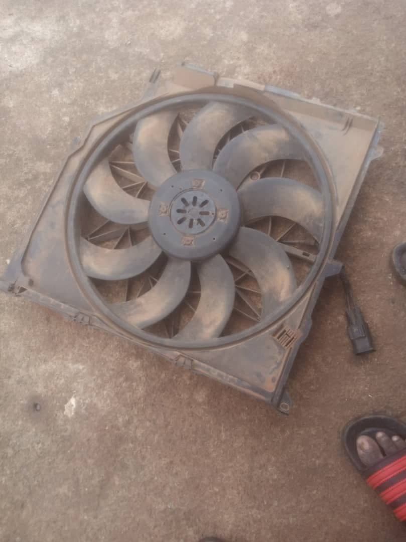 Fan and fan blade the