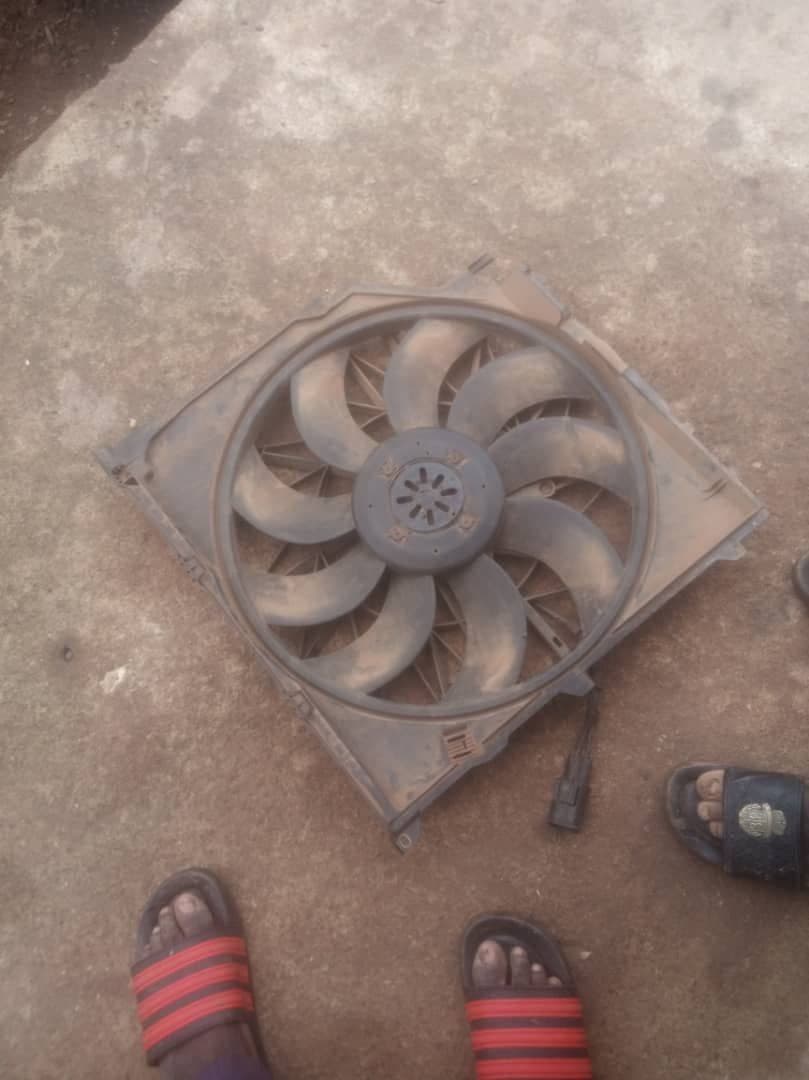 Fan and pair shoes the