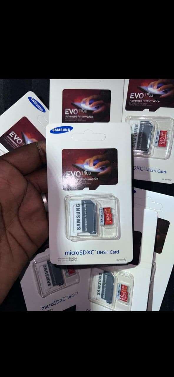 Hand holding card with micro