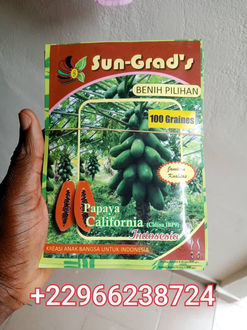 Semences de plusieurs variétés de papayes disponibles !!!
Nous avons :
- Semences de papaye Red Ro