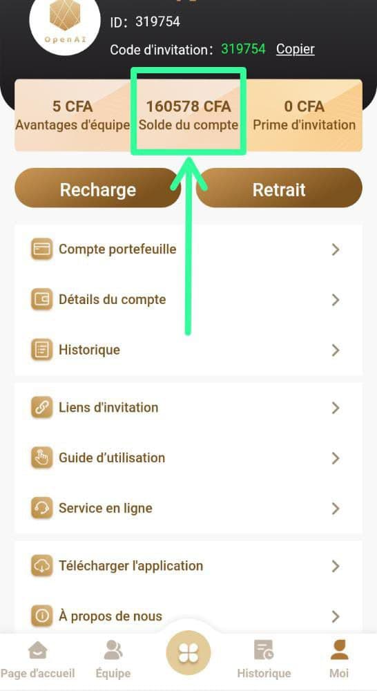 *VEUILLEZ DÉCOUVRIR CE BUSINESS TRÈS RENTABLE
OPENAI est une application qui vous permettra de gagn