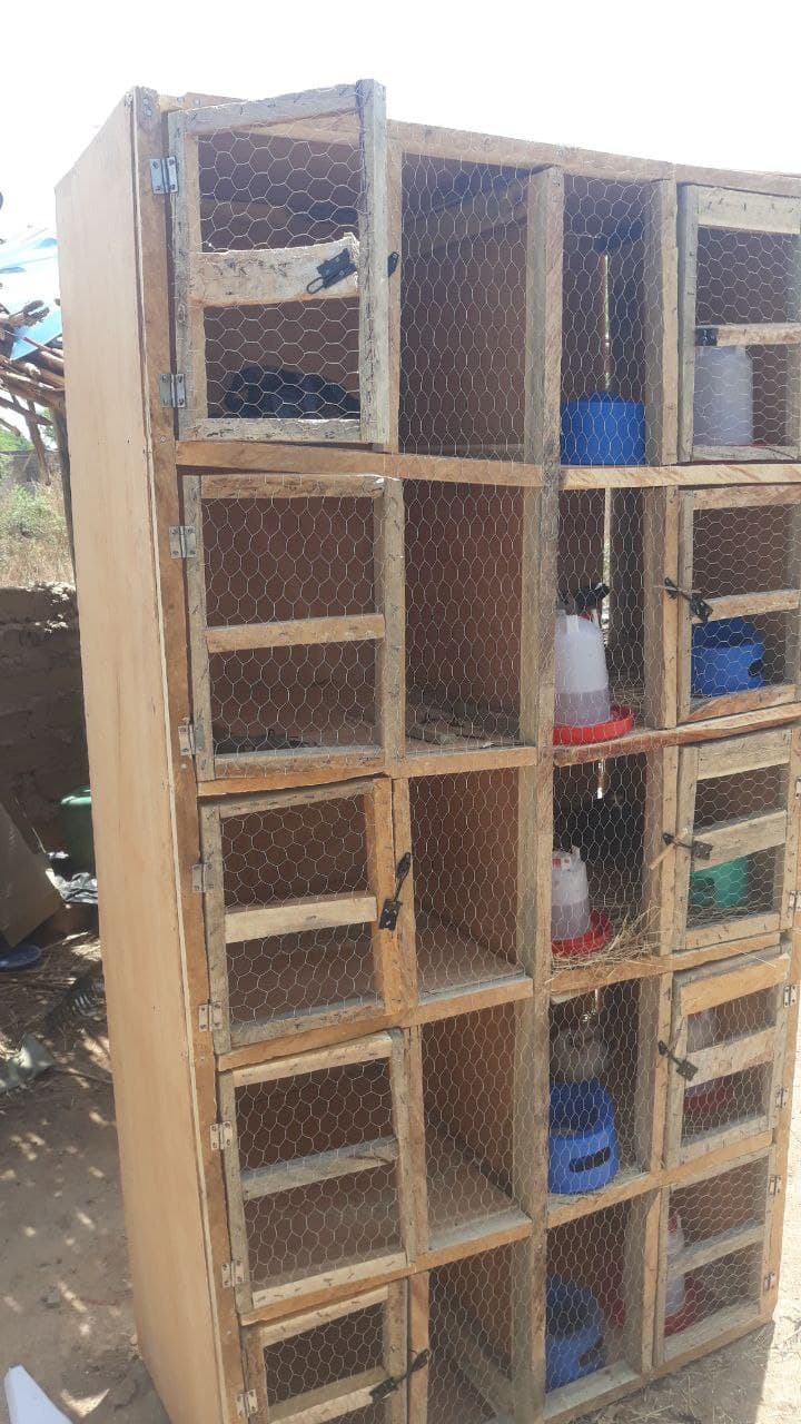 Wooden cage with several cages