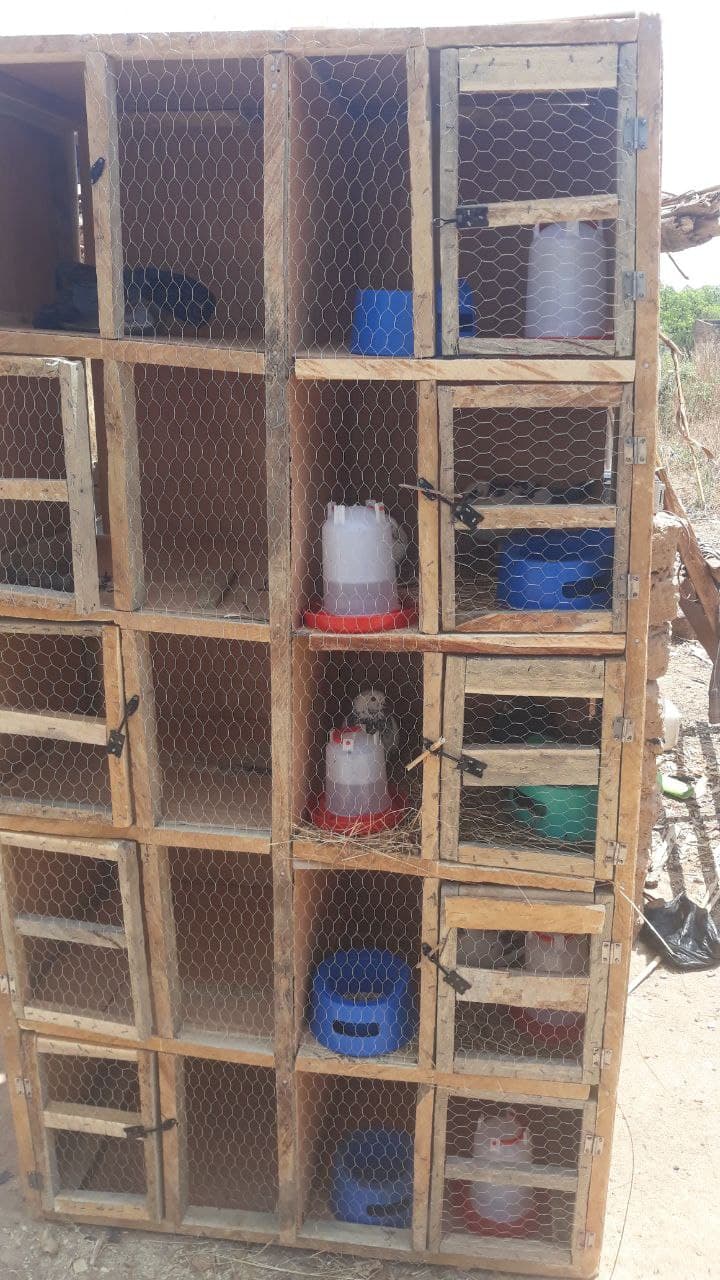 Chicken cage with several crates