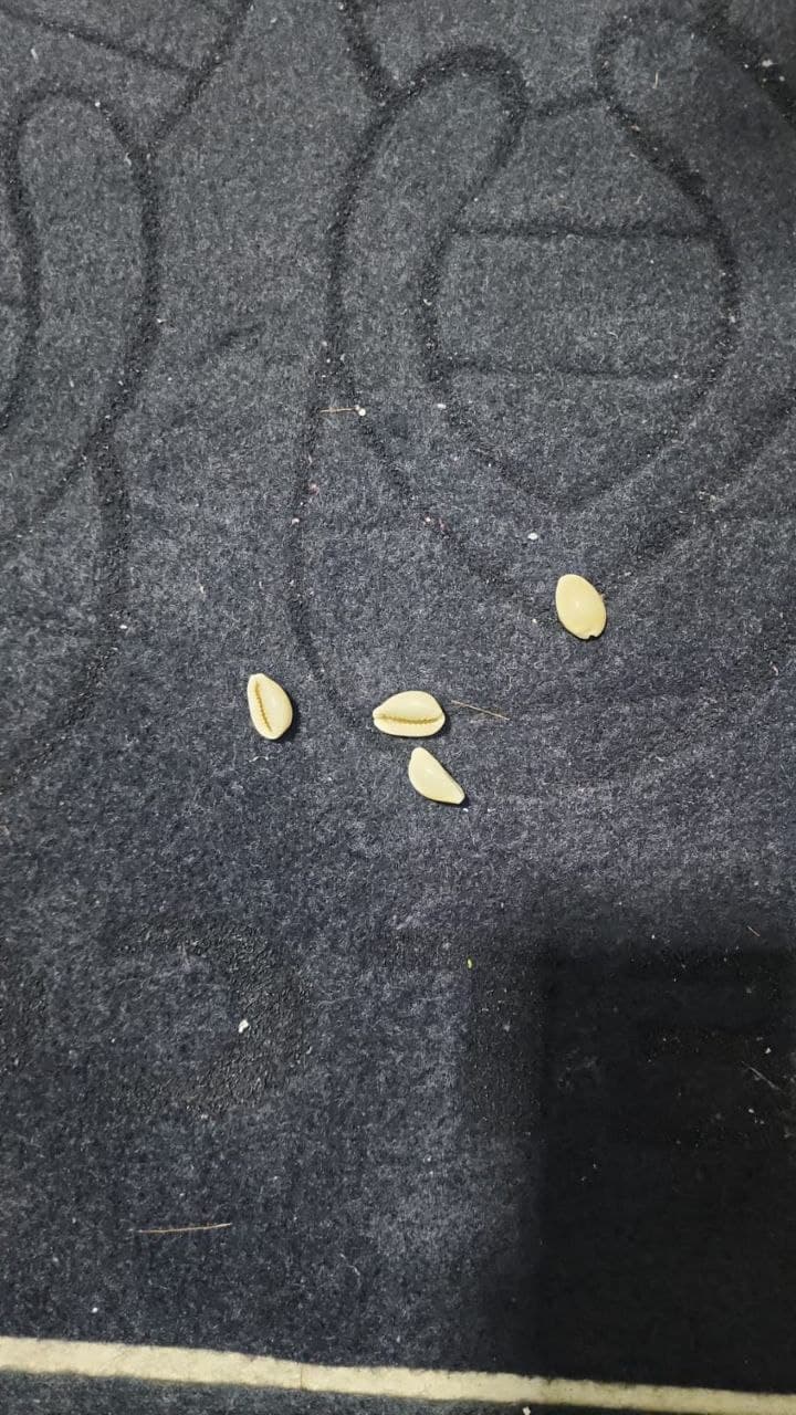 Pour finir avec la pauvreté