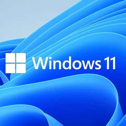 Licence de Windows 11 professionnel pro